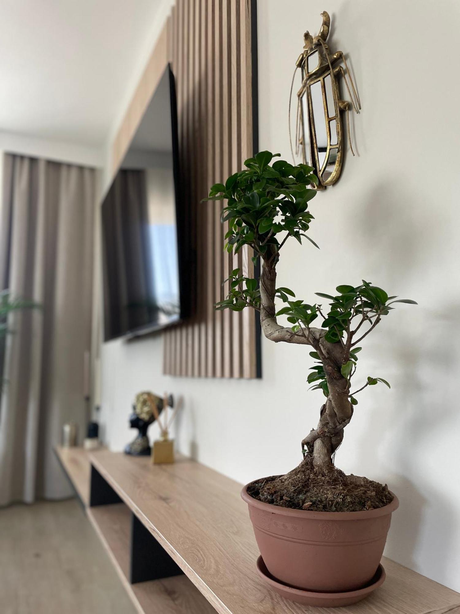 Apartament 13 Kielce Kültér fotó